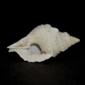 DSC02847.JPG