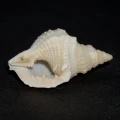 DSC02850.JPG