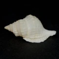 DSC02848.JPG