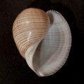 IMG_20221107_193538.jpg