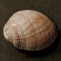 IMG_20221107_193156.jpg