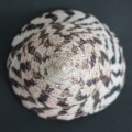 DSC03512.JPG