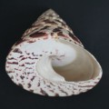 DSC03515.JPG