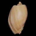 DSC05816.JPG