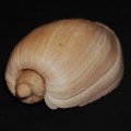DSC05818.JPG