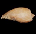 DSC05819.JPG