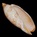 DSC06408.JPG