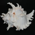 DSC06576.JPG