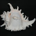 DSC06579.JPG