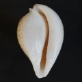DSC06592.JPG