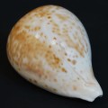 DSC06595.JPG