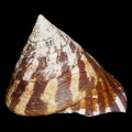 DSC06714.JPG