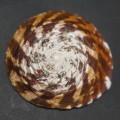 DSC06715.JPG