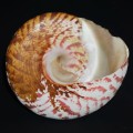 DSC06720.JPG