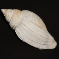 DSC06724.JPG