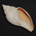 DSC06734.JPG