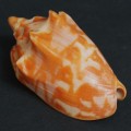 DSC06773.JPG