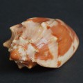 DSC06759.JPG