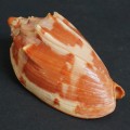 DSC06772.JPG