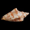 DSC06767.JPG