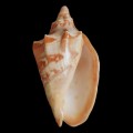 DSC06762.JPG