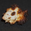 DSC06805.JPG