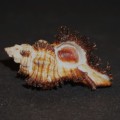 DSC06802.JPG