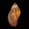DSC06948.JPG