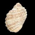 DSC07023.JPG