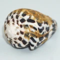 DSC07207.JPG