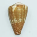DSC07208.JPG