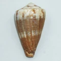 DSC07209.JPG