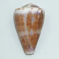 DSC07210.JPG