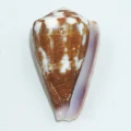 DSC07211.JPG