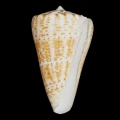DSC07275.JPG