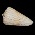 DSC07276.JPG
