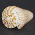 DSC07277.JPG