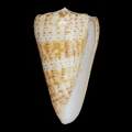DSC07279.JPG