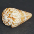 DSC07281.JPG