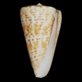 DSC07283.JPG