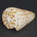 DSC07285.JPG