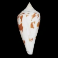 DSC07289.JPG