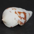 DSC07292.JPG