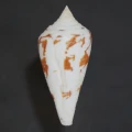 DSC07287.JPG