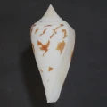 DSC07288.JPG