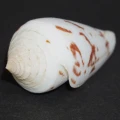 DSC07298.JPG