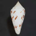 DSC07299.JPG