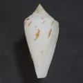 DSC07302.JPG