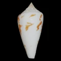DSC07303.JPG