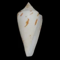 DSC07304.JPG